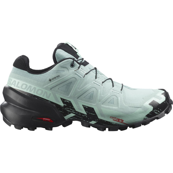 Salomon gtx shoes women's store