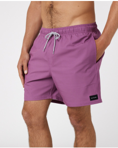 Rip Curl Men's DAILY VOLLEY GRAPEADE