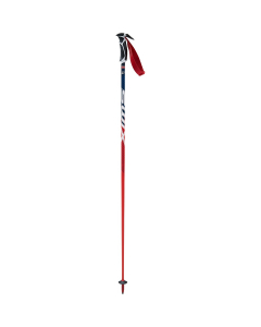 Swix WC PRO SL CARBON AC105-00
