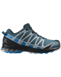 Salomon Men's Shoes XA PRO 3D v8 GTX Legion/Blithe/Pe