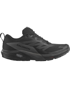 Salomon Men's SENSE RIDE 5 GTX Black/Mgnt/Black