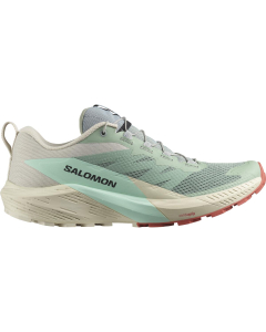 Salomon Men's Shoes SENSE RIDE 5 Lily/Rainy Day/Bleaa