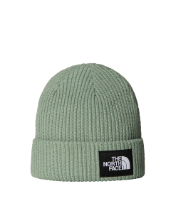 TNF SALTY LINED BEANIE SLATE MOSS
