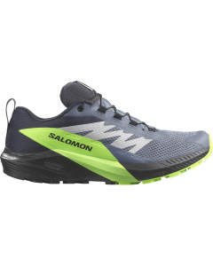 Salomon Men's SENSE RIDE 5 GTX Flint/Black/Grge