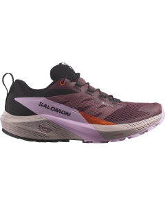 Salomon Women's SENSE RIDE 5 GTX Catawg/Orchib