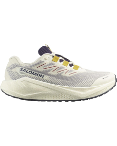 Salomon Men's AERO BLAZE 3 GRVL GTX Vanila/Astr