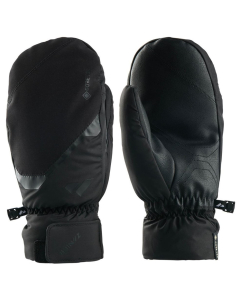 Zanier Men's RAURIS.GTX MITTEN 2000